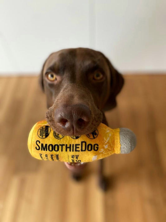 SmoothieDog Hundespielzeug