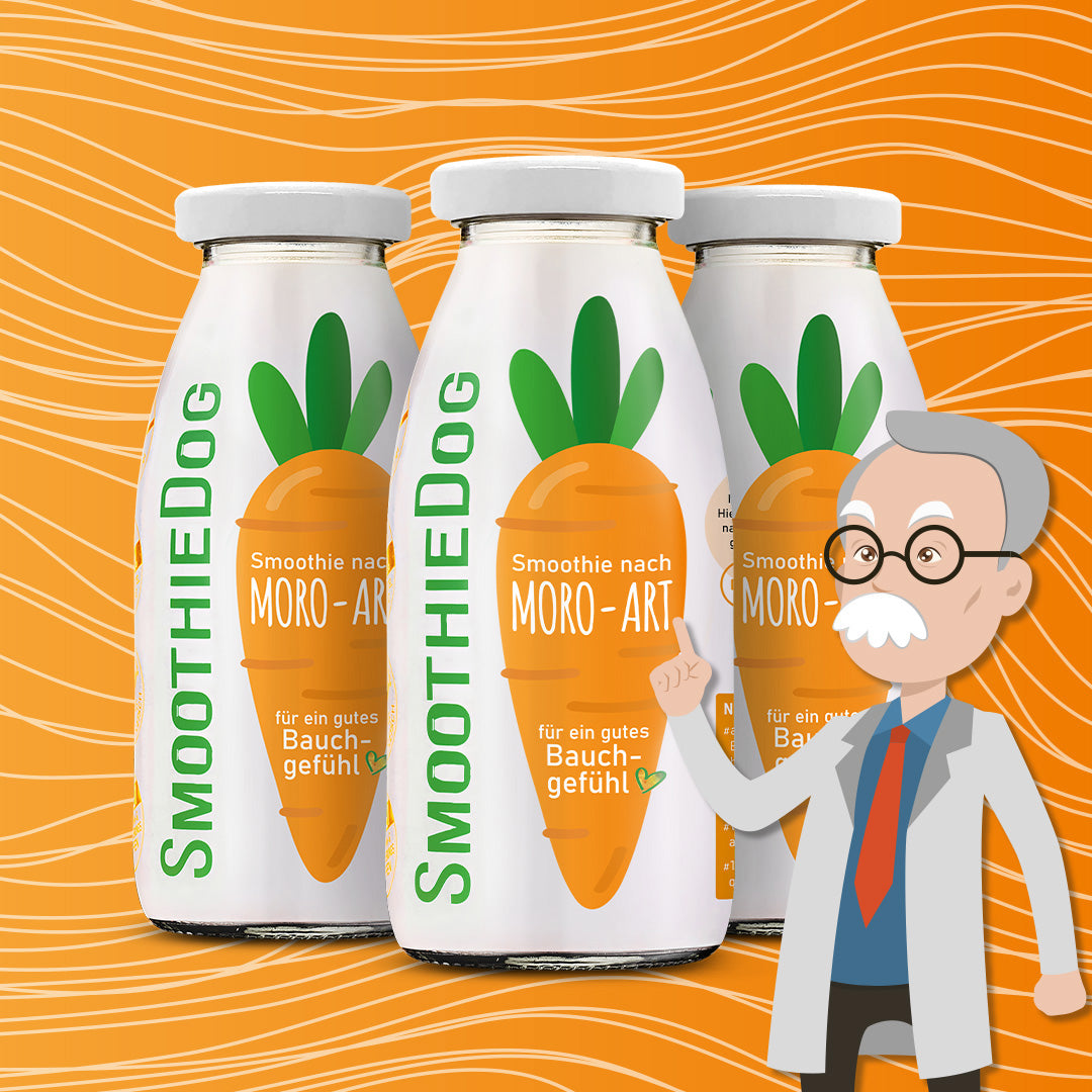 Hundesmoothie Morosche Karottensuppe