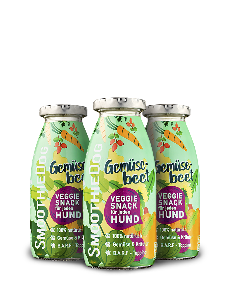 Hundesmoothie Gemüsebeet