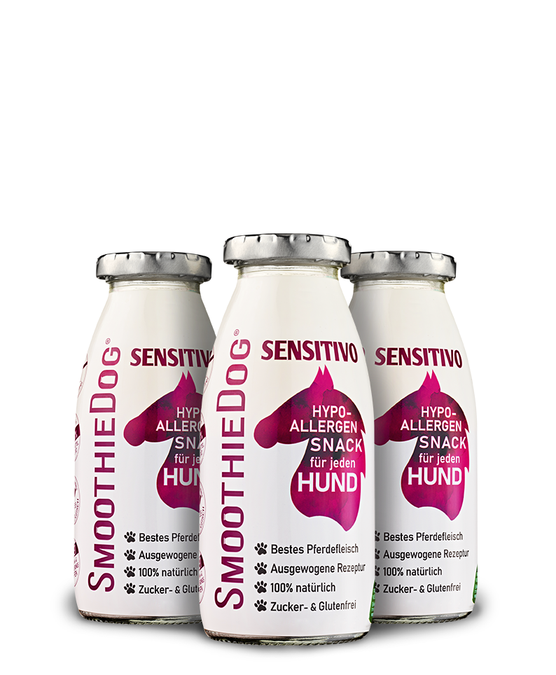 Hundesmoothie Sensitivo (Pferd)
