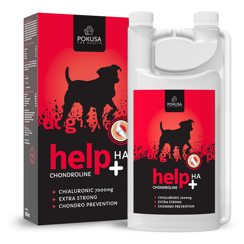 Chondroline Help +Ha 1000ml