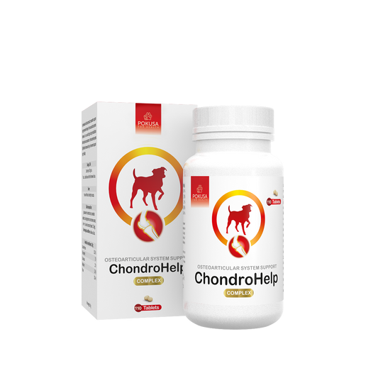 ChondroHelp Gelenktabletten