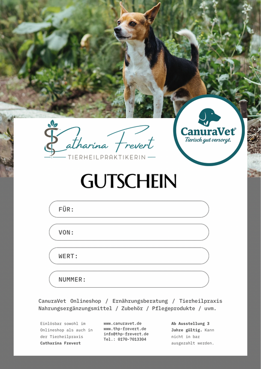 Geschenkgutschein - Digital