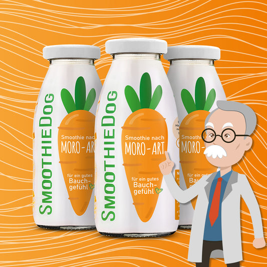 Hundesmoothie Morosche Karottensuppe