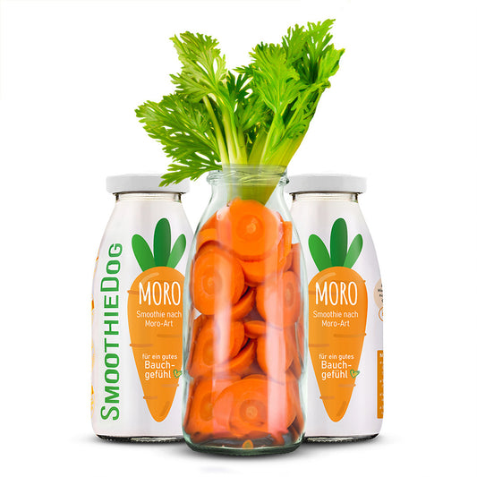 Hundesmoothie Morosche Karottensuppe