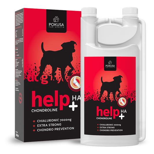 Chondroline Help +Ha 1000ml