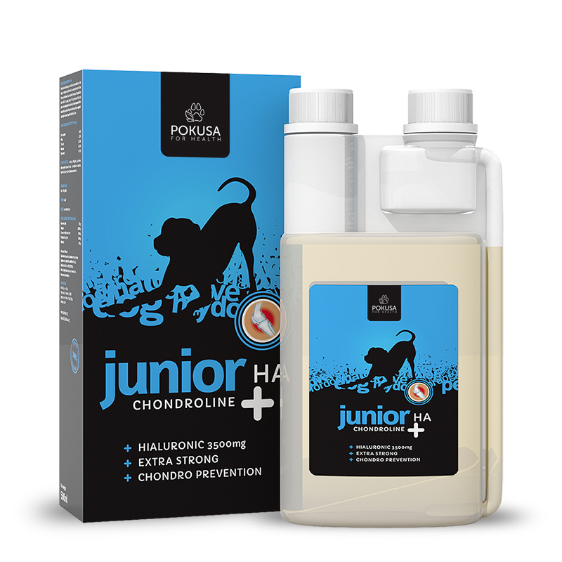 Chrondoline Junior+HA 500ml