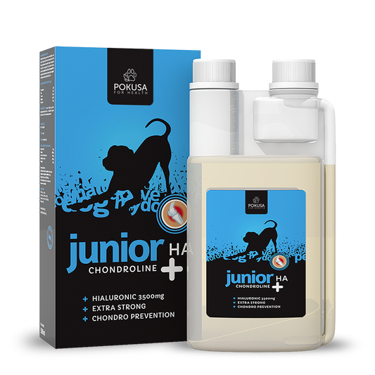 Chrondoline Junior+HA 500ml